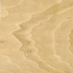 COSTAA American Hornbeam Hardwood