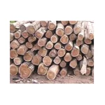 Geetha African Teak