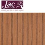 JAC EV Teak 1
